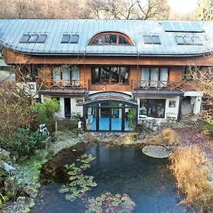 book here